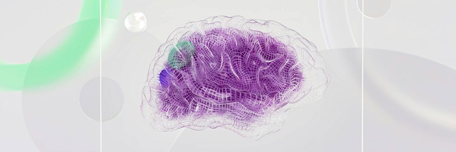 App Developer’s Perspective: AI